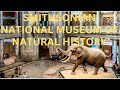 Smithsonian national museum of natural history tour 2023