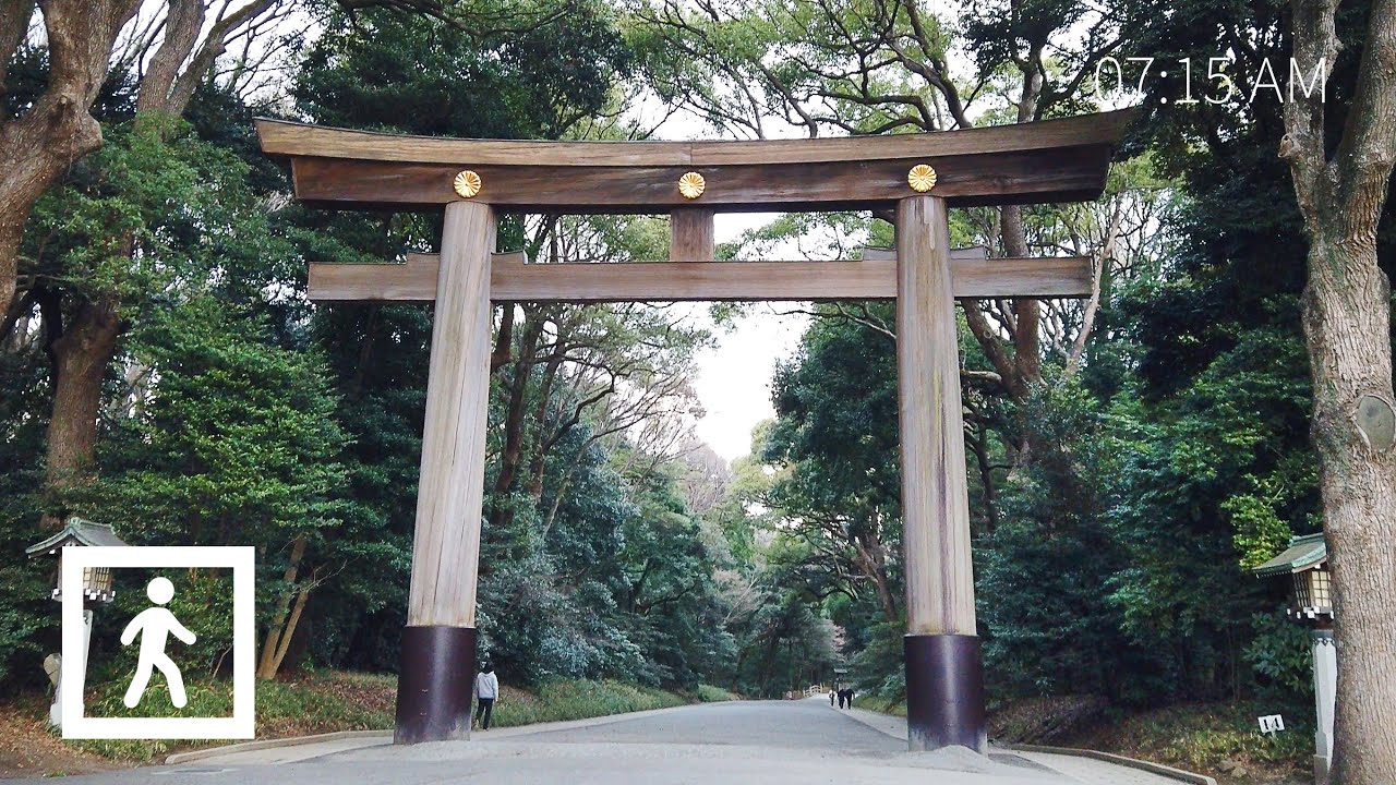 4k Tokyo Meiji Jingu Shrine Walk Jan L 도쿄 메이지신궁 걷기 년 1월 Youtube