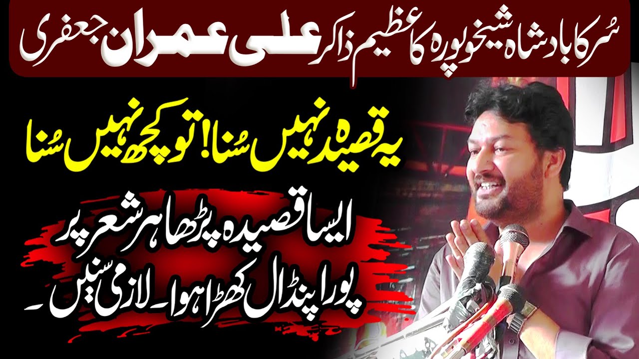 Zakir Ali Imran Jafri Majlis 10 April 2025 Mohalla Mardan Shah Pnindi Bhattian Hafizabad