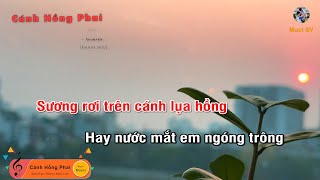 Cánh Hồng Phai - (Guitar beat solo karaoke) Tone Nữ, Muoi Music | Muối SV