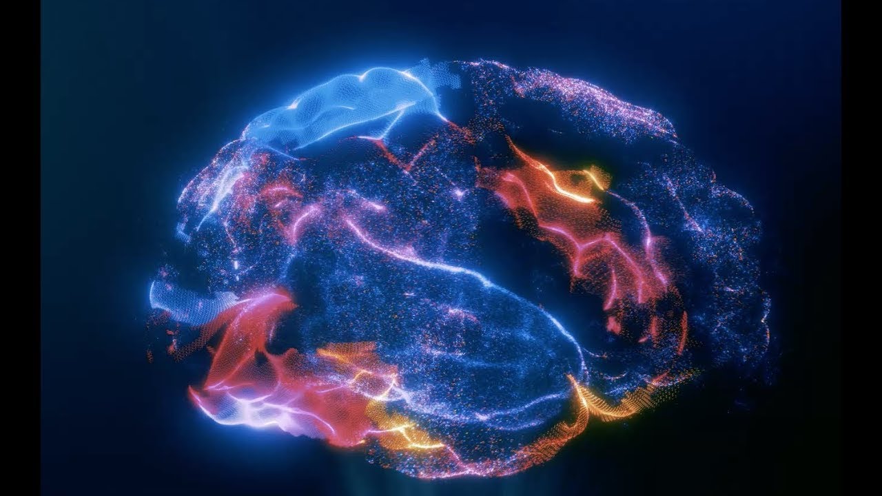Wie Computersimulationen Tierversuche reduzieren