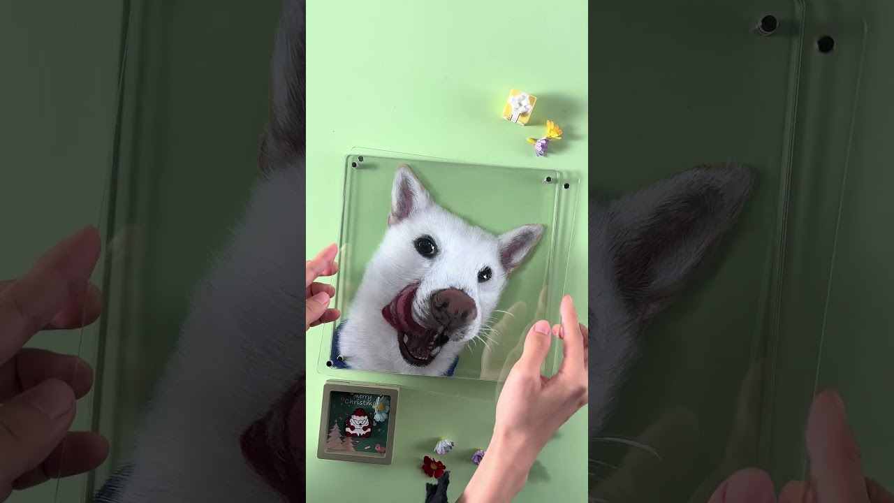 The pet don't understand parting, only gathering.🐱🐶