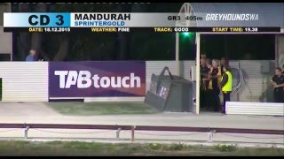 Mandurah-18122015-Race-3