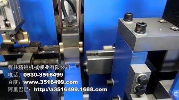 JZ-8.3 Automatic Lock Shell Both Ends Sanding & Stamping Machine