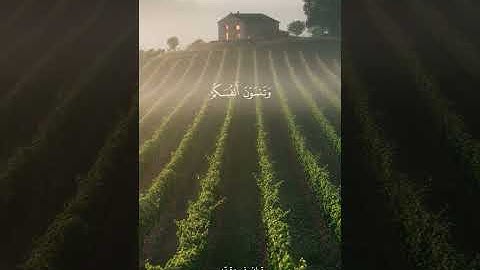 قران كريم ارح قلبك وسمعك #قران_في_دقيقة #محمد_اللحيدان #quran #المصحف #قرآن @brahim hamidat