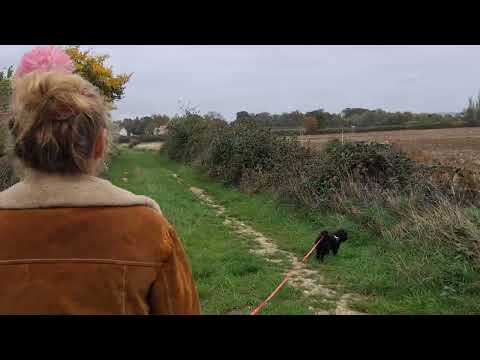Hillosophy 2025 Staverton Part 44