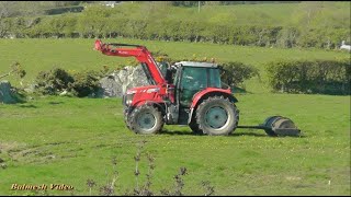 Rolling the Grass for Silage with Massey.
