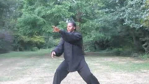Tai Chi Qgong Breathing Exercises (Harold Coggins)
