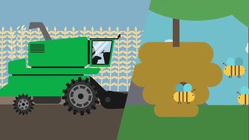 What is Organic Farming I Agriculture