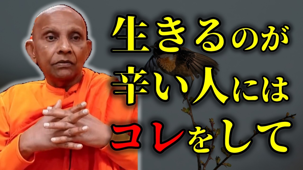 生きていても仕方がないと思ってしまう人へ『だから悲鳴あげてる人に説教しなきゃダメでしょ』【スマナサーラ長老切り抜き】