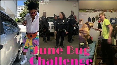 JUNE BUG CHALLENGE | VIA TIKTOK
