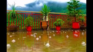 Kashmir Natural Video