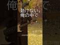 M-1 混乱とざわめき【佐野十朗 Core Collection】.