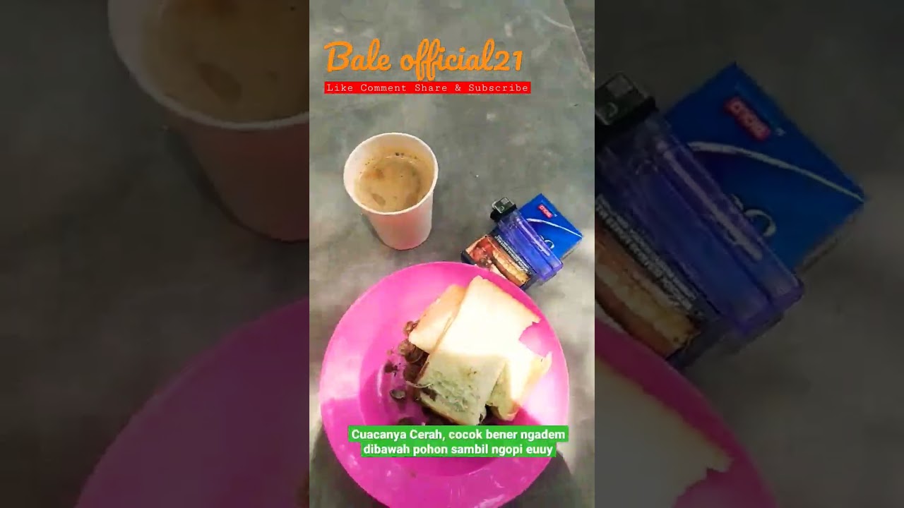 NGOPI DIBAWAH POHON ADEM BENER - BALE OFFICIAL21 