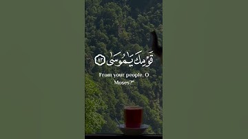 #تلاوة_خاشعة #اسلام_صبحي #اللهم_صل_على_محمد #حالات_واتس #ناصر_القطامي #ياسر_الدوسري #ادريس_ابكر