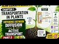 Diffusion vs Active Transport | ICSE Class 8 Biology Chapter 1 | Transportation in Plants Part