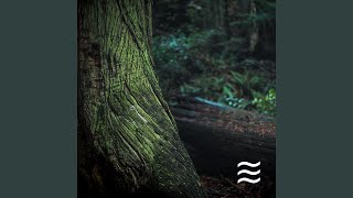 Raining Soft Sounds