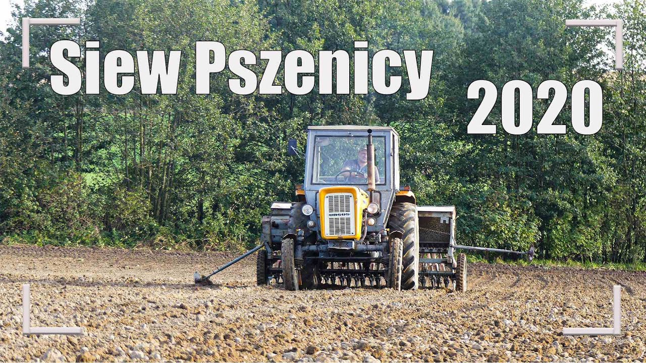 ☆Siew Pszenicy 2020☆Euforia☆Ursus C-360☆Poznaniak S056