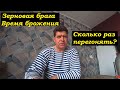 Сколько бродит зерновая брага? | Попробуем поставить брагу на рамках с медом | В гостях у Владимира