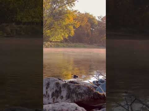 Tippecanoe River State