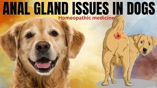 Anal gland issues in dogs । Homeopathic medicine । Dog market is like share market । by Durabull kennel 127 views 3 months ago 7 minutes, 12 seconds