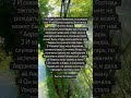 Библия, Бытие 16:1-4 #bible #god #любовь #jesus #amin #салтаненко