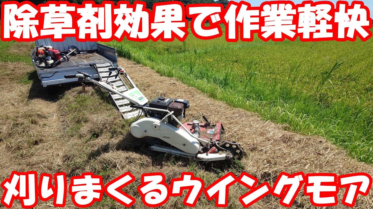 稲刈りまで突っ走れ！ウイングモアでひたすら刈る。#mower #草刈り 