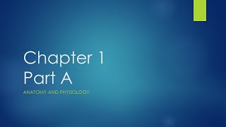 Chapter 1 Part A (Anatomy and Physiology)