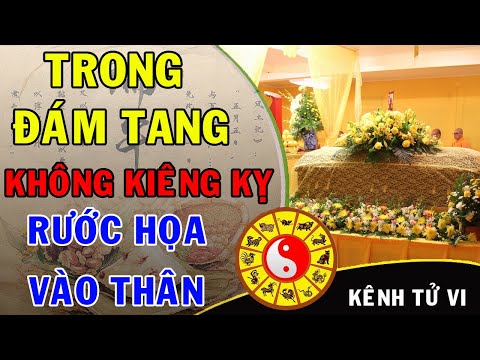 Video: Tại Sao Số Lượng Hoa Chẵn Lại được Mang đi đám Tang?