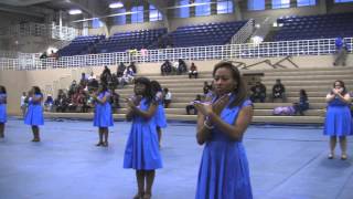 2013 Neo Showcase Epsilon Alpha Chapter of Zeta Phi Beta Sorority Inc. Tennessee State University