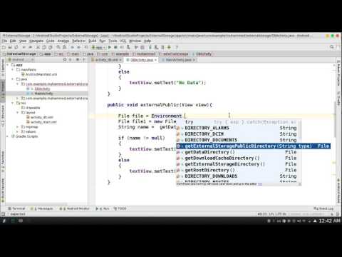 151 Android Studio Read from External SD public & private