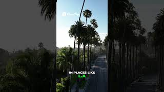 Eminems Secret Life Living Under The Radar In Michigan