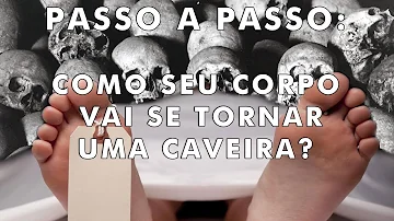 Quanto tempo o corpo começa a feder?