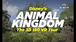 Disney’s Animal Kingdom in 8K 3D 180° VR | Immersive Park Experience #AnimalKingdom #disneyvr