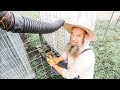 This was Tricky! Off Grid | Homesteading