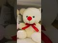 #trandingshorts #love #teddybear #teddylove