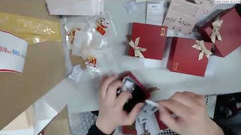 111 4400187 8293003 surveillance video