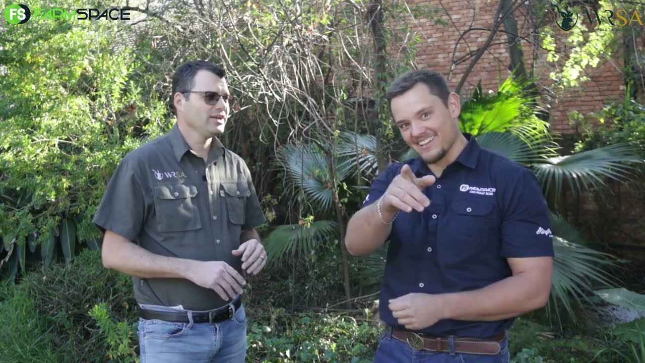 Richard York van WRSA skyn 'n lig op die leeubedryf in Suid-Afrika.