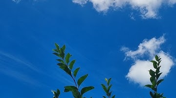 Inovasi Digitalisasi Pencatatan Permintaan Persediaan