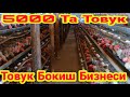 ОЙИГА 1500$-2000$ ДАРОМАД ТОВУК БОКИШ БИЗНЕСИ