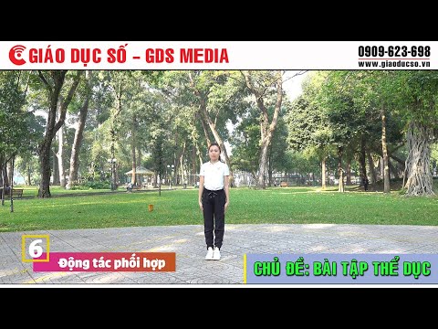 Video Bài tập thể dục - Động tác phối hợp - YouTube