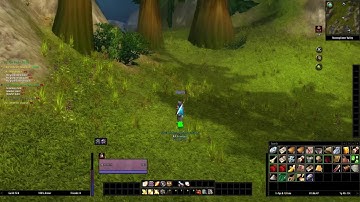 Turtle WoW Classic [Ep.5] Level 17 Paladin High Elf what not to do leveling guide.