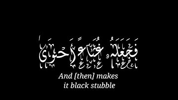 قرآن كريم شاشة سوداء|| سبح اسم ربك الاعلى. سورة الاعلى,بلال دربالي