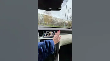 СТРАННЫЙ САЛОН АВТО. Не слишком аляписто? #shorts Лиса рулит