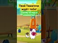 Твой тамагочи ждёт тебя! #tamagotchi #cat