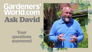 Ask David - Episode 10