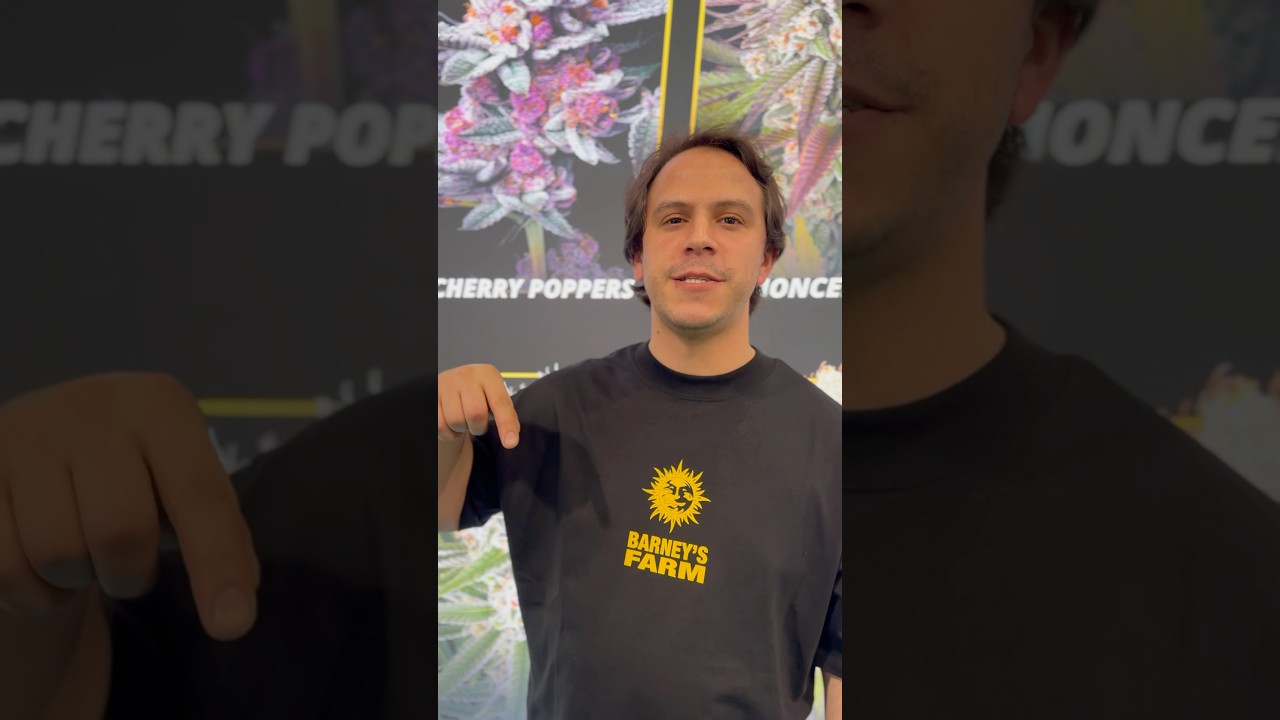 BARNEY’S FARM 🧡 