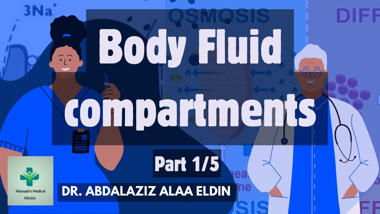 شرح  بالعربي | Body fluid compartments part (1/5)