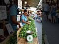 spinach farming#viral #farming #ytshorts