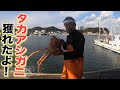 【底引網漁】タカアシガニが入っていました！仕事の後は家族と中華料理屋さんへ！